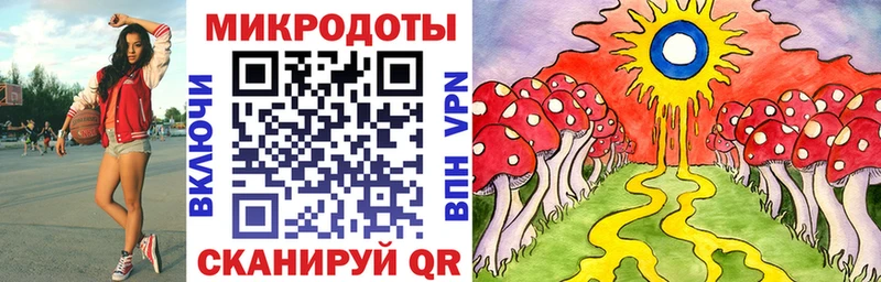 Купить  Павлово  Псилоцибиновые грибы Cubensis 